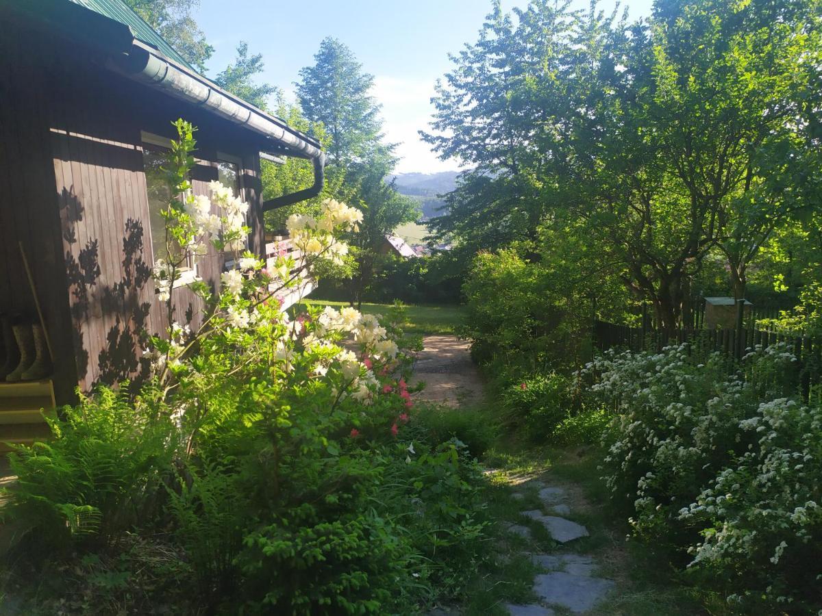 Chata Na Poskle U Lesa S Vyhledem Hutisko Exterior photo