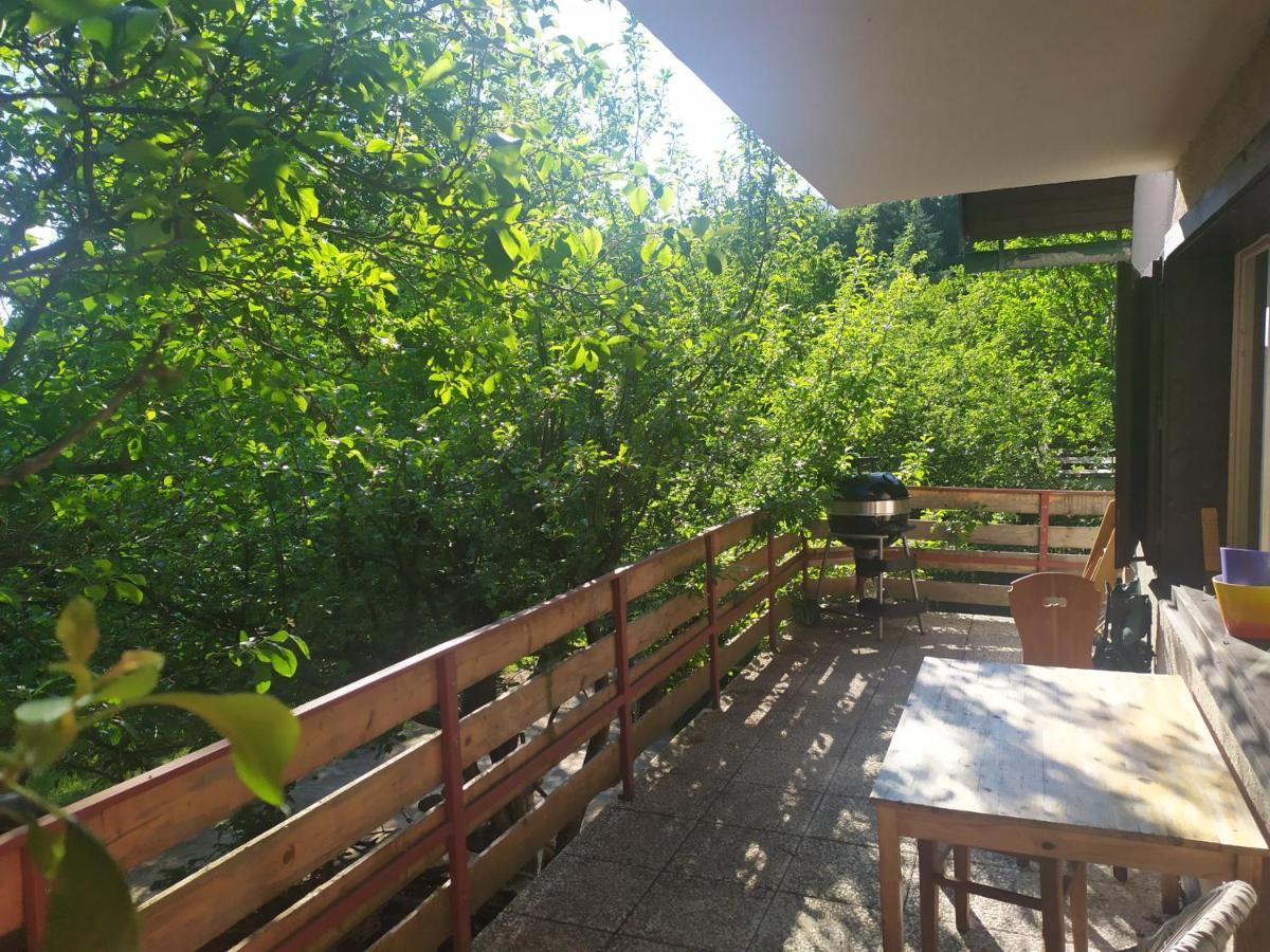 Chata Na Poskle U Lesa S Vyhledem Hutisko Exterior photo